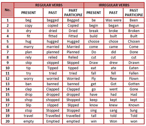 types  verbs  english  comprehensive guide eslbuzz