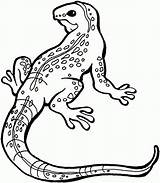 Lizard Gila Lizards sketch template