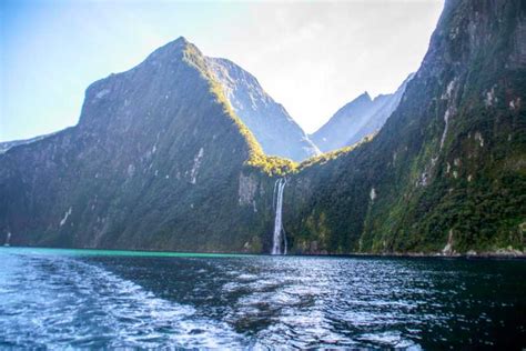 queenstown milford sound full day trip  plane boat getyourguide