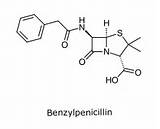 Benzylpenicillin Penicillin sketch template