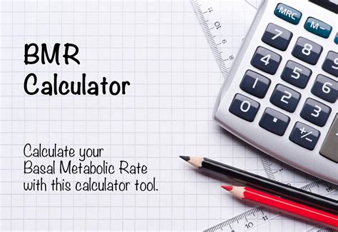 bmr calculator basal metabolic rate  daily calories