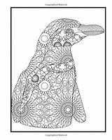 Penguin Coloring Adults Book Penguins Amazon Intricate Containing Filled sketch template