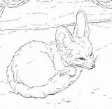 Fennec Foxes sketch template