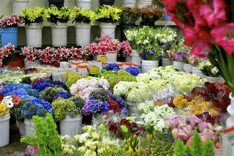 photo flower market colorful colors flora