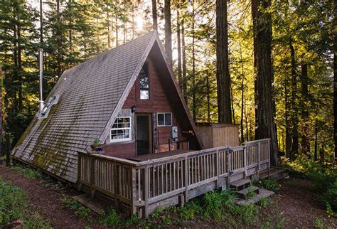 tiny  frame cabin   redwoods sustainable simplicity