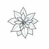 Poinsettia Easydrawingguides Really sketch template