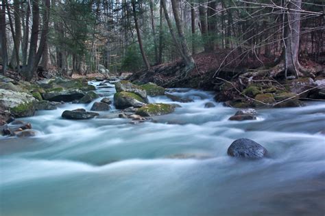 images nature forest rock waterfall creek wilderness