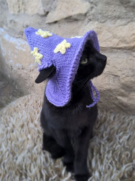purple wizard cat hat wizard hat  cat wizard hat  etsy