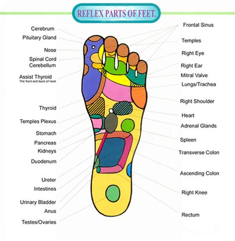 Pressure Points In Your Feet – Chart And Videos