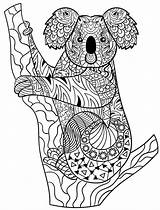 Koala Aboriginal Mandala Mandalas Ausmalbilder Adults Coloriage Koalas Zentangle Kleurplaten Volwassenen Australien Kleurplaat Indigenous Dibujar Giraffe Australie Colorier Elephant Kangourou sketch template