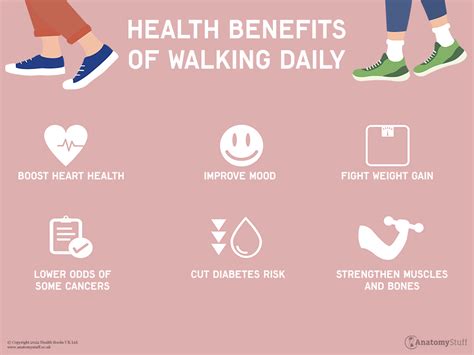 walking benefits  mental physical health anatomystuff