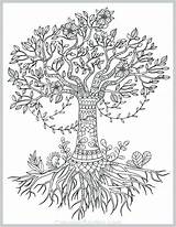 Coloring Tree Life Pages Olive Drawing Adult Pecan Printable Simple Coloringgarden Adults Color Mandala Drawings Celtic Template Book Print Paintingvalley sketch template