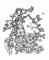 Blossom Cherry Jadedragonne Kirsche Coloriage Ausmalbilder Blossoms sketch template