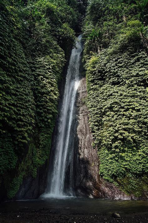 stunning amazon forest brazil climate hd phone wallpaper pxfuel