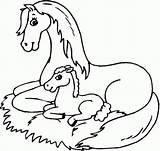Coloring Pages Horses Print Preschoolers Easy sketch template