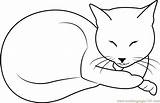 Cat Coloring Sleeping Beauty Coloringpages101 Pages Cats sketch template