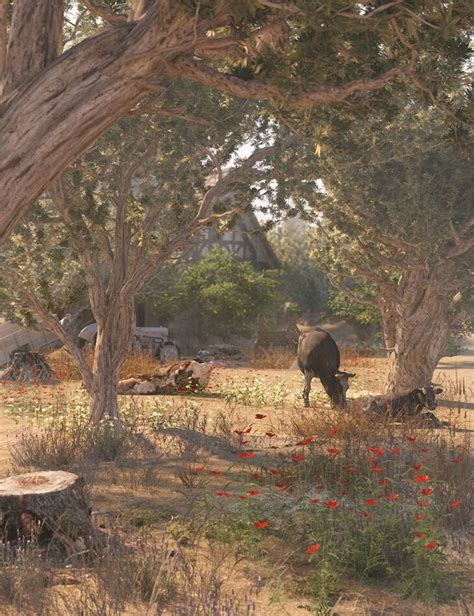 olive grove ancient olive trees render state