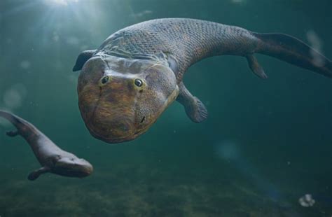 marine life perished   late devonian mass extinction discover