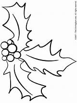 Christmas Holly Coloring Pages sketch template
