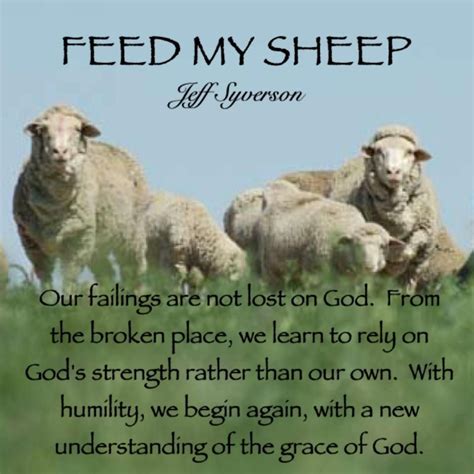 feed  sheep jun  feed  sheep gods strength scripture reading