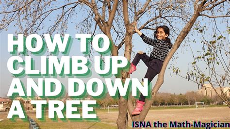 How To Climb Up And Down A Tree Be Careful Do Not Try Without