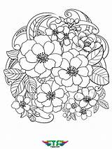 Flowers Tsgos Crocus sketch template