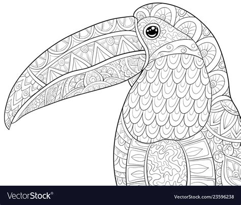 adult coloring bookpage  cute head toucan vector image