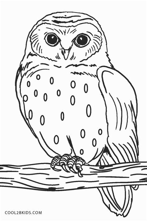 printable owl coloring pages  kids coolbkids