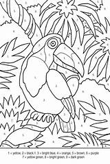 Coloring Pages Color Tropical Number Bird Numbers Coloriage Kids Adult Depuis Enregistrée Halloween Popular sketch template