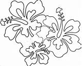 Coloring Hawaiian Flowers Flower Hawaii Comments Coloringhome sketch template
