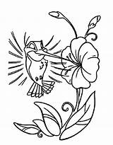 Hummingbird Coloring Pages Cartoon Flower Drawing Color Printable Hummingbirds Print Clipart Drawings Easy Line Outline Sheets Getdrawings Tattoo Clipartmag Library sketch template