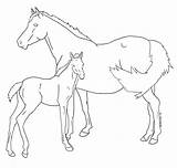 Foal Mare Lineart Deviantart Getdrawings sketch template