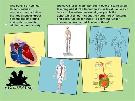 ks science human body systems bundle teaching resources