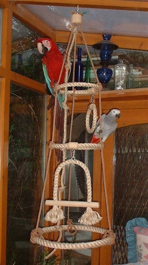 parrot rope swing diy bird toys parrot toys homemade bird toys