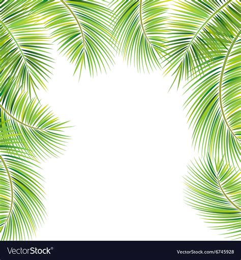 palm tree branches royalty  vector image vectorstock