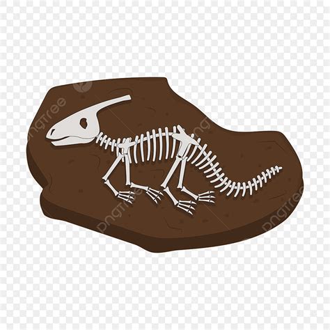 cartoon dinosaur skeleton fossil clipart fossil clipart fossil clip