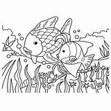 Zee Vis Mooiste Kleurplaten Vissen Kleurplaat Visjes Leukvoorkids Volwassenen Uitprinten Waterdieren Lettere Zeemeermin Regenboog Downloaden sketch template