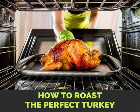 how to roast the perfect turkey just a pinch