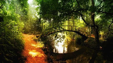 nature landscape trees forest bridge sunlight river reflection path stream arch bridge