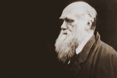 darwin on the artificial barrier to extending sympathy to all men
