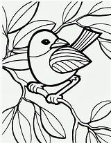 Bird Coloring Pages Printable Branch Kidscp sketch template