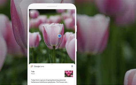 google introduces  lens visual search feature  ios phoneworld