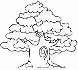 Coloring Pages Oak Trees Getcolorings sketch template