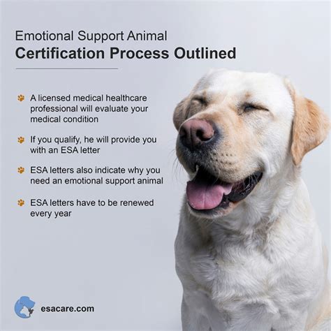 emotional support animal certification  america esa care