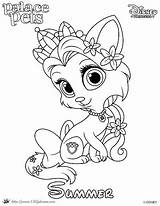 Coloring Pages Hatchimals Palace Princess Pets Summer Haven Whisker Disney Printables Pet Printable Color Skgaleana Getdrawings Sheets Rapunzel Featuring Cartoon sketch template