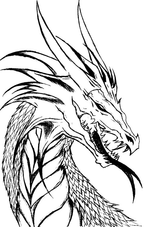 coloring pages  fire breathing dragons   gambrco