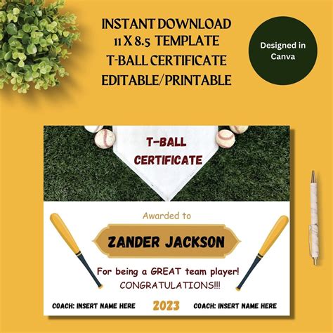 ball certificate template instant     editable
