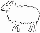 Pecora Colorare Pecore Disegnare Agnello Bimbi Agnelli Pasqua Muso sketch template