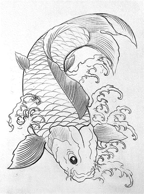 exotic fish drawing  getdrawings