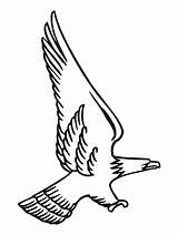 Aquila Aguila Colorear Calva Cazando Stampare Disegno Stilizzata Disegnare Attacking águila Supercoloring Vuelo Attak Incantevole Titon Colouring Reale sketch template